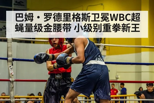 巴姆·罗德里格斯卫冕WBC超蝇量级金腰带 小级别重拳新王